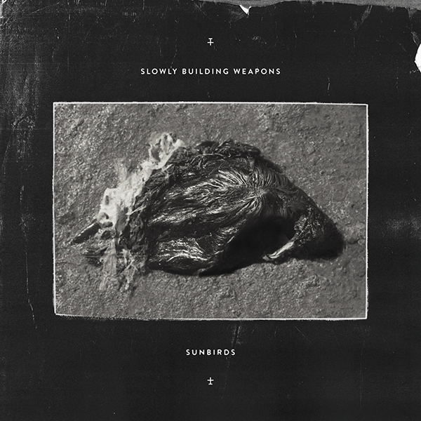 SlowlyBuildingWeapons