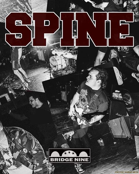 spine