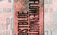 smlPB_FM_Split_1_copy