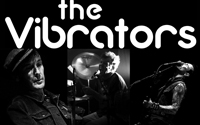 smlvibrators_2013